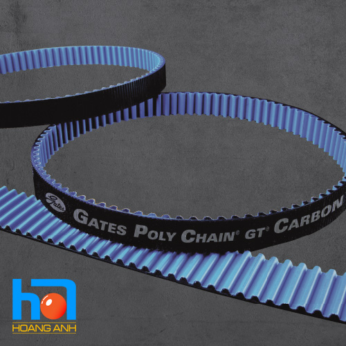POLY CHAIN CARBON